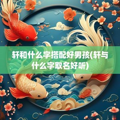 轩和什么字搭配好男孩(轩与什么字取名好听)