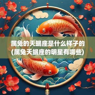 属兔的天蝎座是什么样子的(属兔天蝎座的明星有哪些)