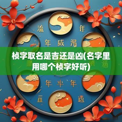 桢字取名是吉还是凶(名字里用哪个桢字好听)