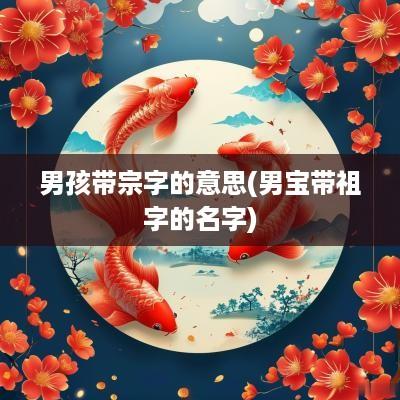 男孩带宗字的意思(男宝带祖字的名字)