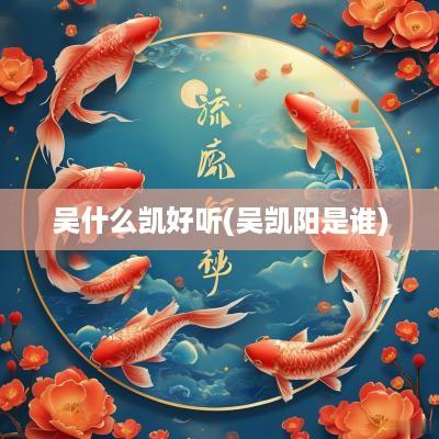 吴什么凯好听(吴凯阳是谁)