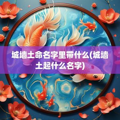 城墙土命名字里带什么(城墙土起什么名字)