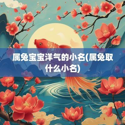 属兔宝宝洋气的小名(属兔取什么小名)