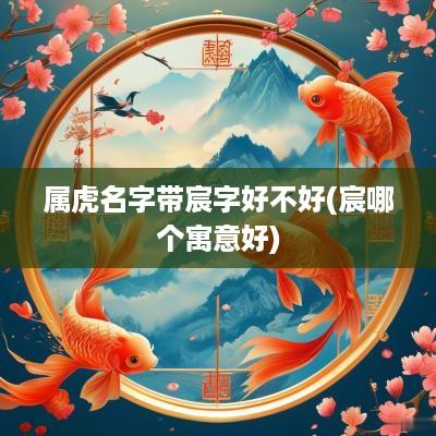 属虎名字带宸字好不好(宸哪个寓意好)