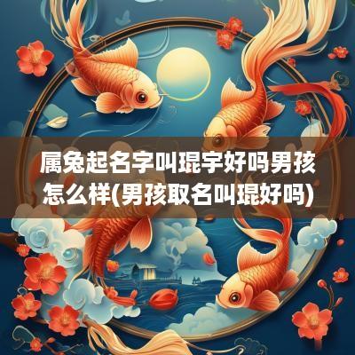 属兔起名字叫琨宇好吗男孩怎么样(男孩取名叫琨好吗)