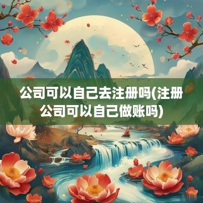 公司可以自己去注册吗(注册公司可以自己做账吗)