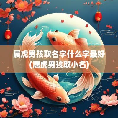 属虎男孩取名字什么字最好(属虎男孩取小名)