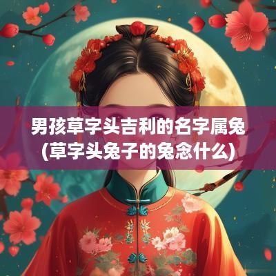 男孩草字头吉利的名字属兔(草字头兔子的兔念什么)