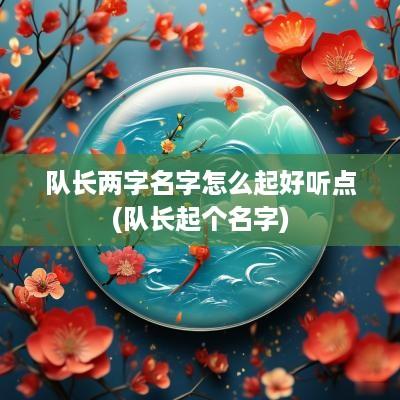队长两字名字怎么起好听点(队长起个名字)