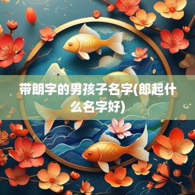 带朗字的男孩子名字(郎起什么名字好)
