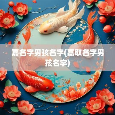 嘉名字男孩名字(嘉取名字男孩名字)