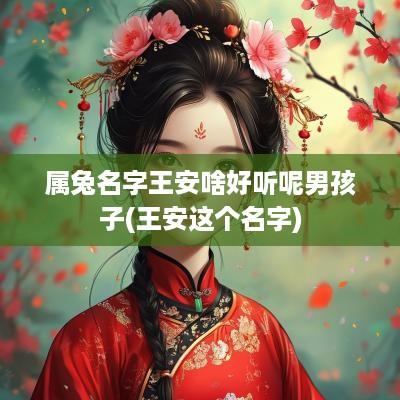 属兔名字王安啥好听呢男孩子(王安这个名字)