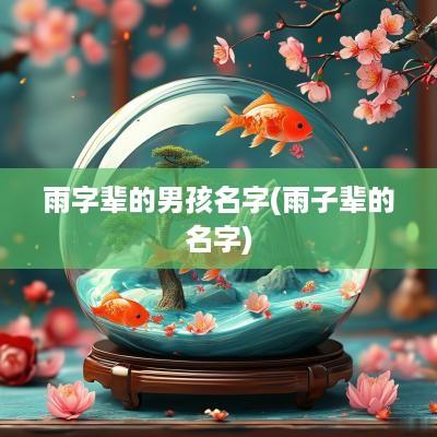 雨字辈的男孩名字(雨子辈的名字)