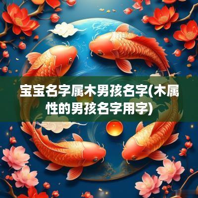 宝宝名字属木男孩名字(木属性的男孩名字用字)