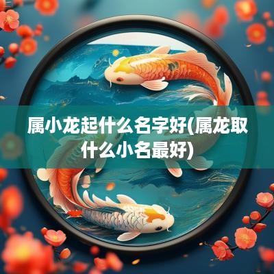 属小龙起什么名字好(属龙取什么小名最好)