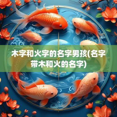 木字和火字的名字男孩(名字带木和火的名字)