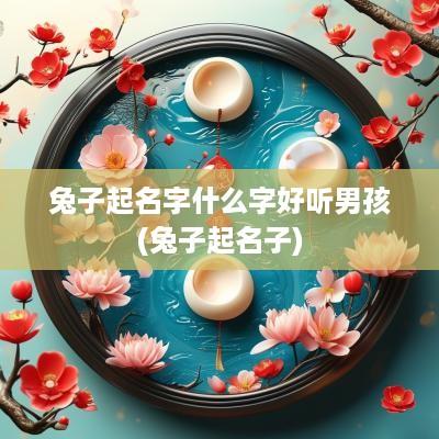 兔子起名字什么字好听男孩(兔子起名子)