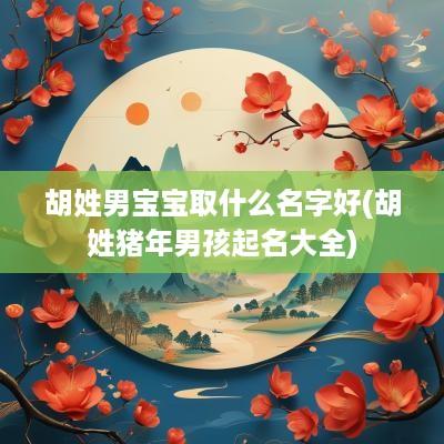 胡姓男宝宝取什么名字好(胡姓猪年男孩起名大全)
