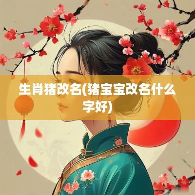 生肖猪改名(猪宝宝改名什么字好)