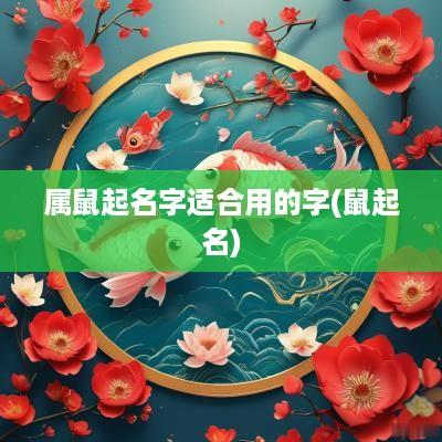 属鼠起名字适合用的字(鼠起名)