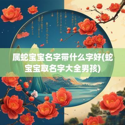 属蛇宝宝名字带什么字好(蛇宝宝取名字大全男孩)