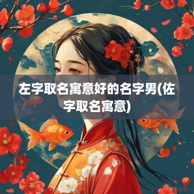 左字取名寓意好的名字男(佐字取名寓意)