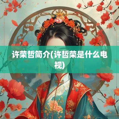 许荣哲简介(许哲荣是什么电视)