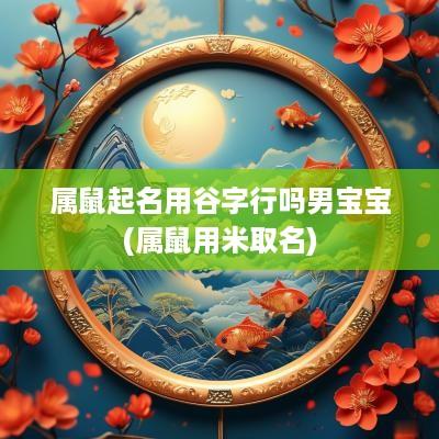 属鼠起名用谷字行吗男宝宝(属鼠用米取名)
