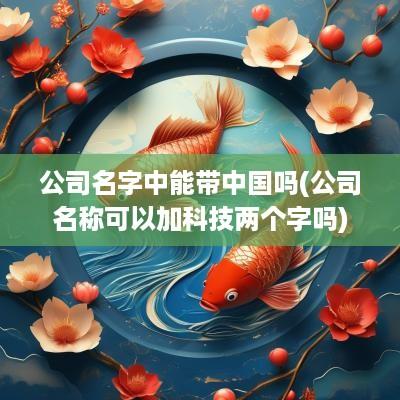 公司名字中能带中国吗(公司名称可以加科技两个字吗)