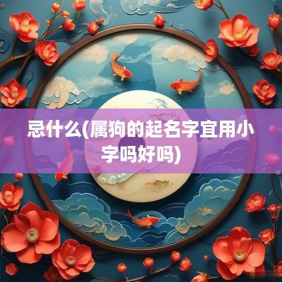 忌什么(属狗的起名字宜用小字吗好吗)