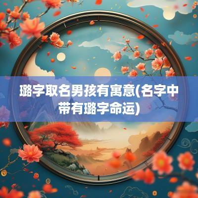 璐字取名男孩有寓意(名字中带有璐字命运)