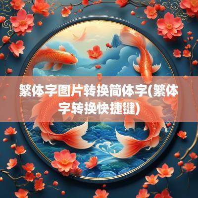 繁体字图片转换简体字(繁体字转换快捷键)