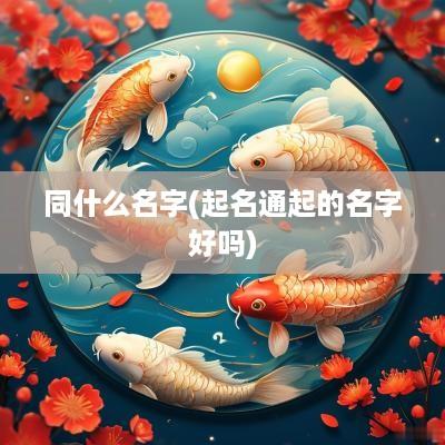 同什么名字(起名通起的名字好吗)