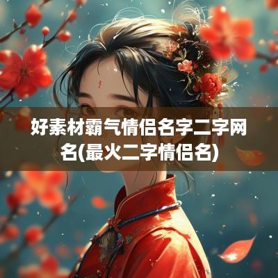 好素材霸气情侣名字二字网名(最火二字情侣名)