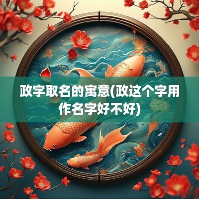政字取名的寓意(政这个字用作名字好不好)