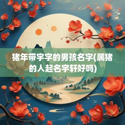 猪年带宇字的男孩名字(属猪的人起名宇轩好吗)