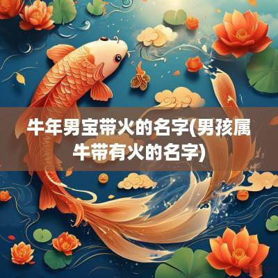 蛇年男宝带火的名字(男孩属牛带有火的名字)