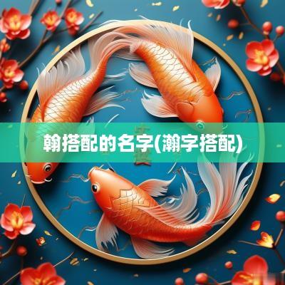 翰搭配的名字(瀚字搭配)