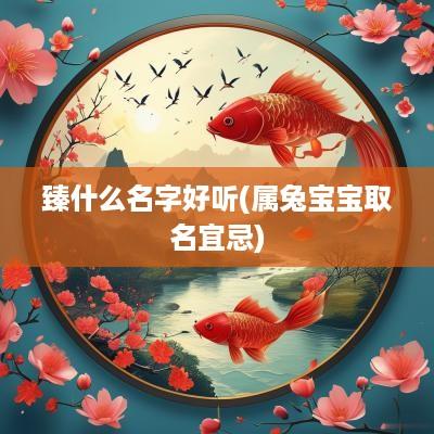 臻什么名字好听(属兔宝宝取名宜忌)
