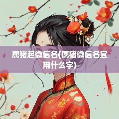 属猪起微信名(属猪微信名宜用什么字)