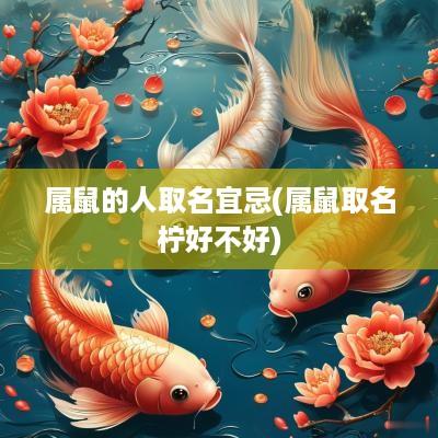 属鼠的人取名宜忌(属鼠取名柠好不好)