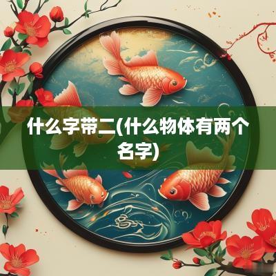什么字带二(什么物体有两个名字)