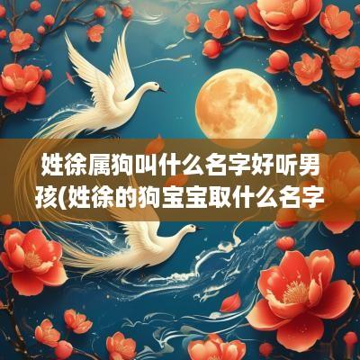 姓徐属狗叫什么名字好听男孩(姓徐的狗宝宝取什么名字好)