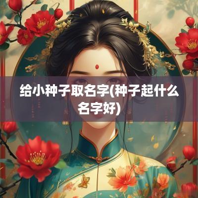 给小种子取名字(种子起什么名字好)