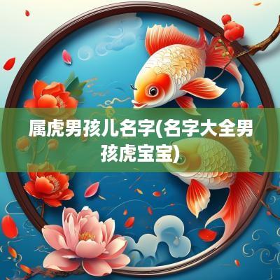 属虎男孩儿名字(名字大全男孩虎宝宝)