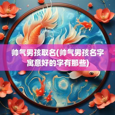 帅气男孩取名(帅气男孩名字寓意好的字有那些)