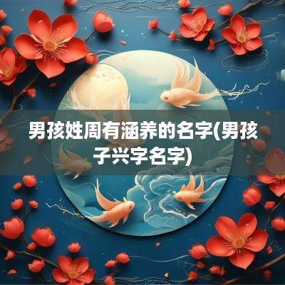 男孩姓周有涵养的名字(男孩子兴字名字)
