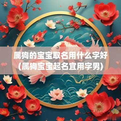 属狗的宝宝取名用什么字好(属狗宝宝起名宜用字男)