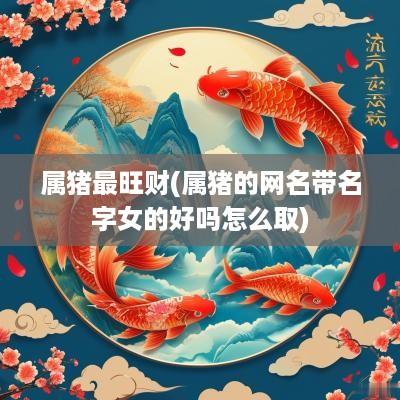 属猪最旺财(属猪的网名带名字女的好吗怎么取)