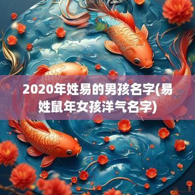 2025年姓易的男孩名字(易姓蛇年女孩洋气名字)